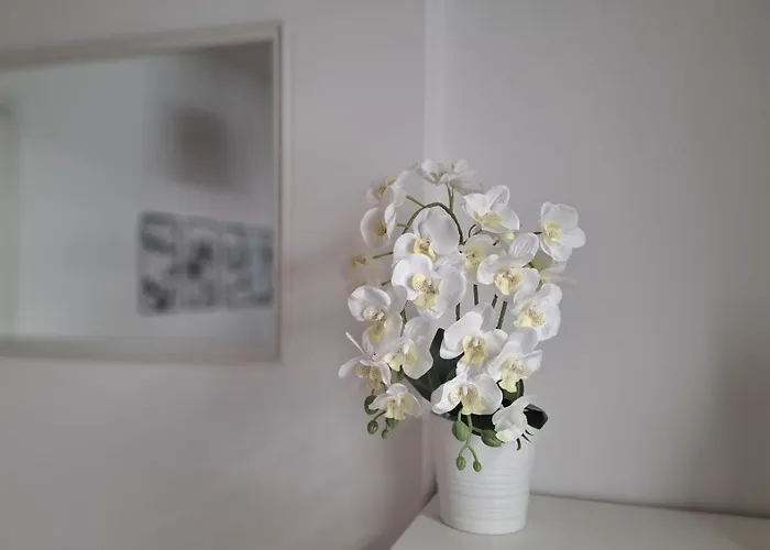 Apartmán Torre Aurora *